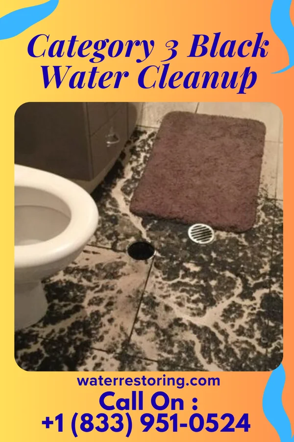 Category 3 Black Water Cleanup in Stanwood, MI