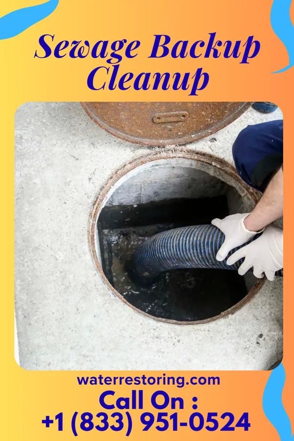 Sewage Backup Cleanup in Stanwood, MI
