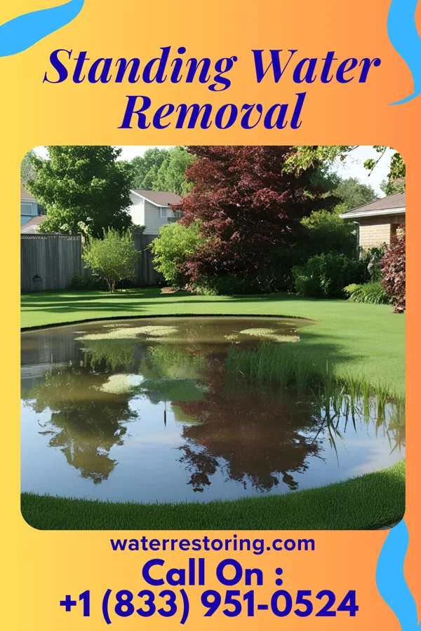 Standing Water Removal in Stanwood, MI